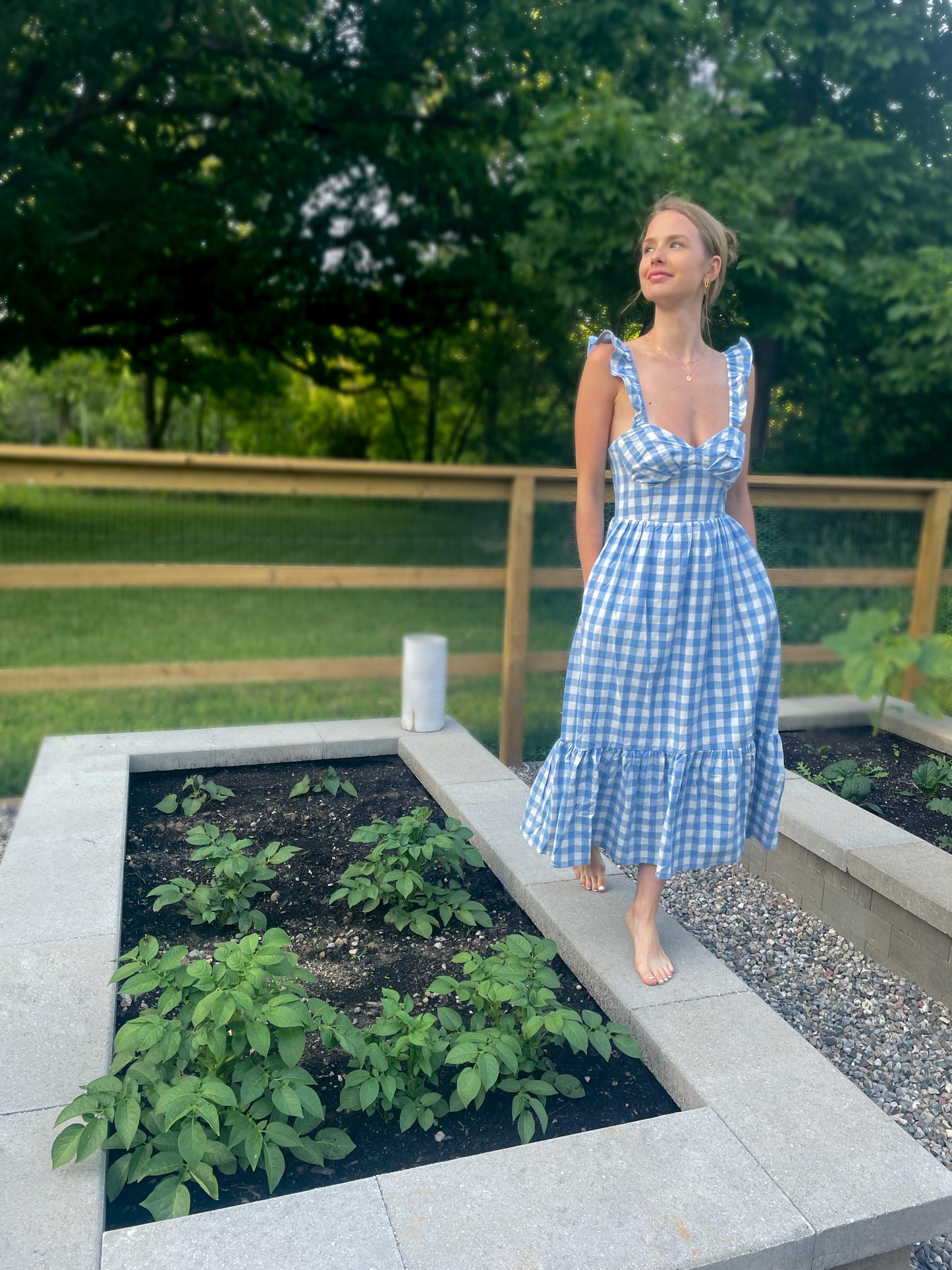 Toria Flutter Sleeve Gingham Dress in Sky